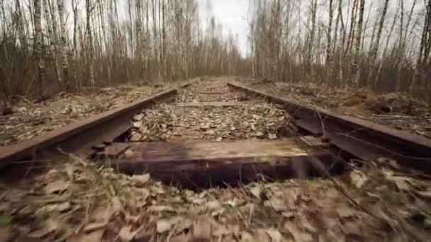 Ferrocarril de vía estrecha abandonado en el bosque, día de otoño, vista de ángulo bajo — Vídeos de Stock