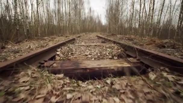 Ferrovia de bitola estreita abandonada na floresta, dia de outono, vista de baixo ângulo — Vídeo de Stock