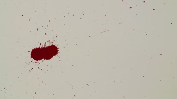 Rotes Blut tropft auf das weiße Papier — Stockvideo