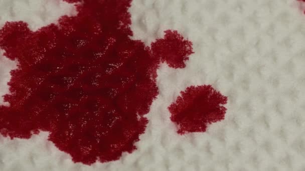Červená krev je vstřebána do papírového bílého ubrousku, makro záběr — Stock video