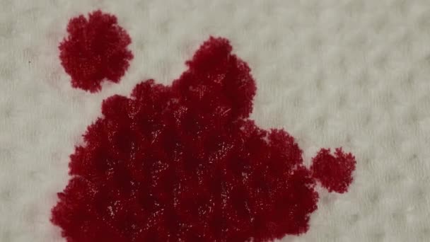 Красная кровь впитывается в бумагу белой салфеткой бумаги, макроснимок — стоковое видео
