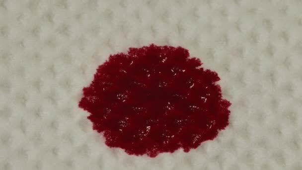La sangre roja se absorbe en el papel de servilleta blanco, macro shot — Vídeos de Stock