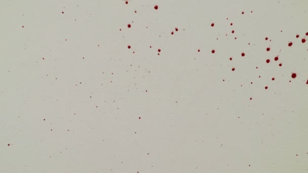 Rotes Blut tropft auf das weiße Papier — Stockvideo