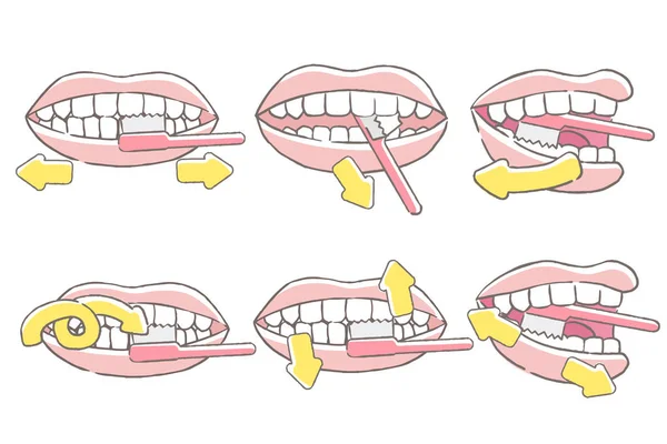 Lehren Sie Wie Sie Zähne Für Ihr Gesundheitskonzept Putzen — Stockvektor