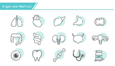 Organ ve Tıp Icon set - basit çizgi serisi