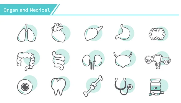 Conjunto Iconos Órganos Médicos Serie Simple Line — Archivo Imágenes Vectoriales