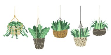 andscape Bahçe Saksı bitkileri