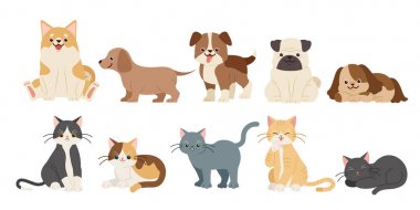 sevimli karikatür köpek ve kediler