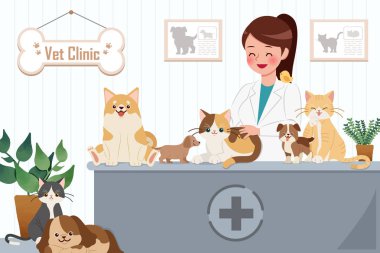 veteriner kliniği kavramı