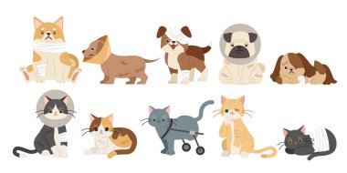 injured cartoon dogs and cats clipart