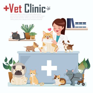 veteriner kliniği kavramı