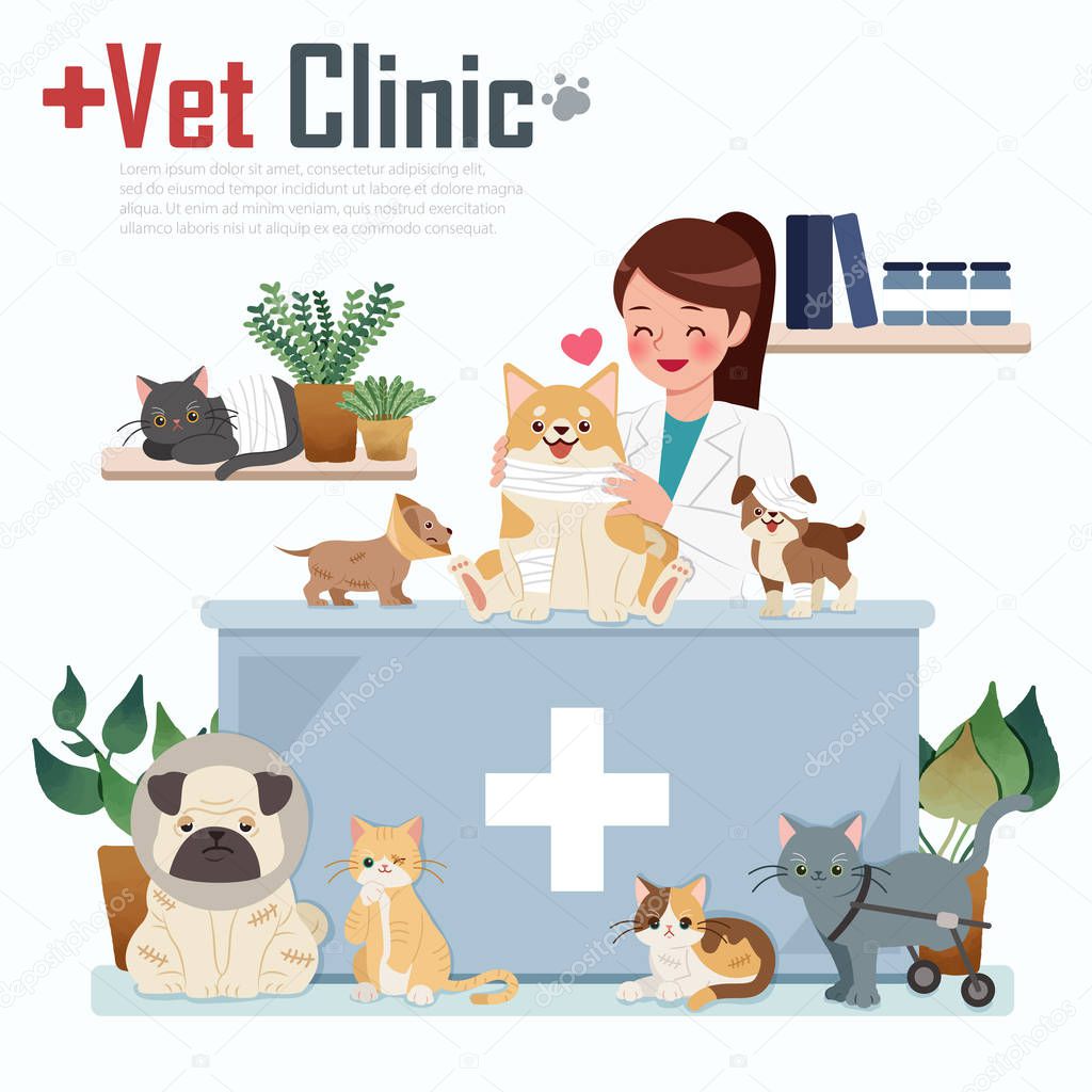 vet clinic concept