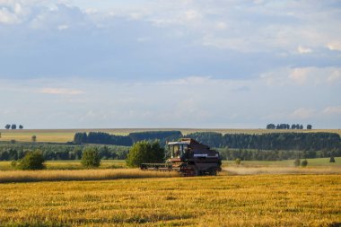 Hasat birleştirin. Eski Kombain buğday ürün üzerinde toplar buğday alan üzerinde çalışıyor hasat birleştirin. Alanında Tarım makineleri.
