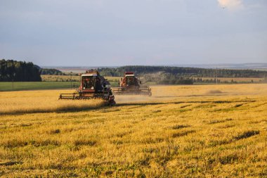 Hasat birleştirin. Eski Kombain buğday ürün üzerinde toplar buğday alan üzerinde çalışıyor hasat birleştirin. Alanında Tarım makineleri.