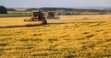 Hasat birleştirin. Eski Kombain buğday ürün üzerinde toplar buğday alan üzerinde çalışıyor hasat birleştirin. Alanında Tarım makineleri.