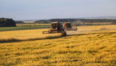 Hasat birleştirin. Eski Kombain buğday ürün üzerinde toplar buğday alan üzerinde çalışıyor hasat birleştirin. Alanında Tarım makineleri.
