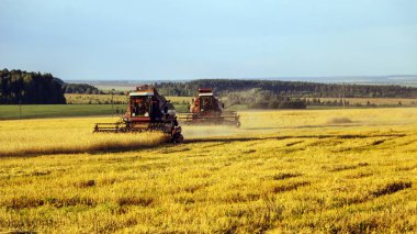 Hasat birleştirin. Eski Kombain buğday ürün üzerinde toplar buğday alan üzerinde çalışıyor hasat birleştirin. Alanında Tarım makineleri.