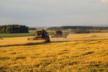 Hasat birleştirin. Eski Kombain buğday ürün üzerinde toplar buğday alan üzerinde çalışıyor hasat birleştirin. Alanında Tarım makineleri.