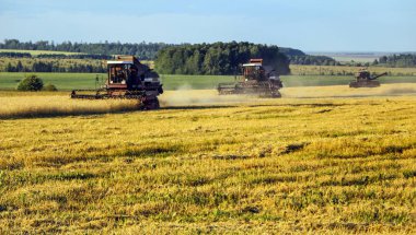 Hasat birleştirin. Eski Kombain buğday ürün üzerinde toplar buğday alan üzerinde çalışıyor hasat birleştirin. Alanında Tarım makineleri.