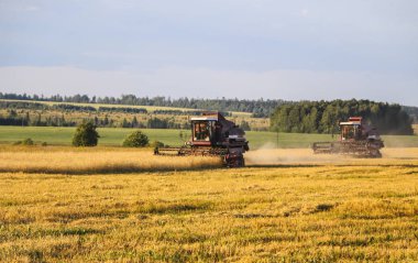 Hasat birleştirin. Eski Kombain buğday ürün üzerinde toplar buğday alan üzerinde çalışıyor hasat birleştirin. Alanında Tarım makineleri.