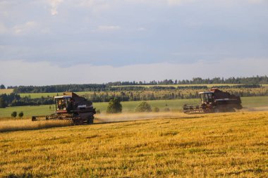 Hasat birleştirin. Eski Kombain buğday ürün üzerinde toplar buğday alan üzerinde çalışıyor hasat birleştirin. Alanında Tarım makineleri.