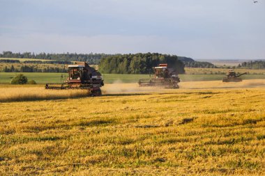 Hasat birleştirin. Eski Kombain buğday ürün üzerinde toplar buğday alan üzerinde çalışıyor hasat birleştirin. Alanında Tarım makineleri.