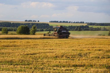 Hasat birleştirin. Eski Kombain buğday ürün üzerinde toplar buğday alan üzerinde çalışıyor hasat birleştirin. Alanında Tarım makineleri.
