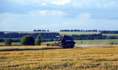 Hasat birleştirin. Eski Kombain buğday ürün üzerinde toplar buğday alan üzerinde çalışıyor hasat birleştirin. Alanında Tarım makineleri.