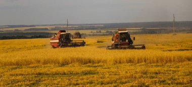 Hasat birleştirin. Eski Kombain buğday ürün üzerinde toplar buğday alan üzerinde çalışıyor hasat birleştirin. Alanında Tarım makineleri.