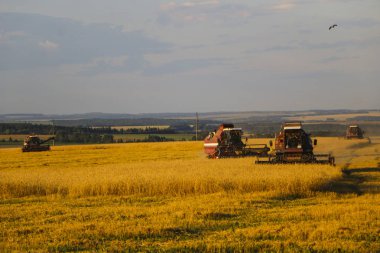 Hasat birleştirin. Eski Kombain buğday ürün üzerinde toplar buğday alan üzerinde çalışıyor hasat birleştirin. Alanında Tarım makineleri.