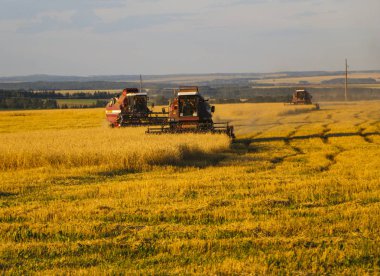 Hasat birleştirin. Eski Kombain buğday ürün üzerinde toplar buğday alan üzerinde çalışıyor hasat birleştirin. Alanında Tarım makineleri.