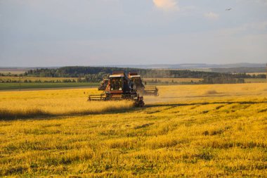 Hasat birleştirin. Eski Kombain buğday ürün üzerinde toplar buğday alan üzerinde çalışıyor hasat birleştirin. Alanında Tarım makineleri.