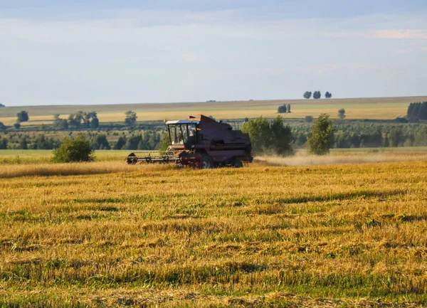 Зерновий Комбайн Старий Зерновий Комбайн Працює Над Пшенична Сфера Комбаин — стокове фото