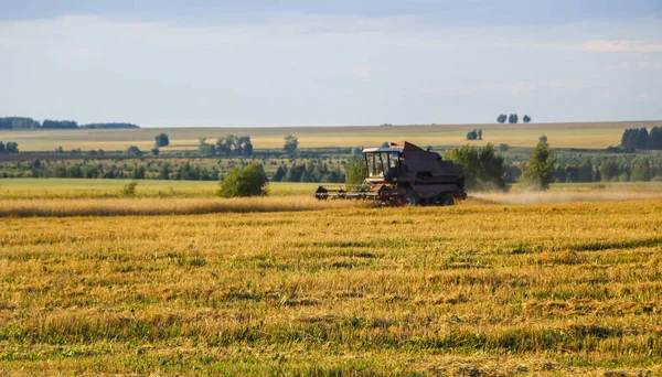 Hasat birleştirin. Eski Kombain buğday ürün üzerinde toplar buğday alan üzerinde çalışıyor hasat birleştirin. Alanında Tarım makineleri.
