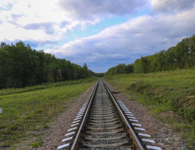 Tren. Yeşil orman ve çim parlak mavi gökyüzü ile arka plan üzerinde demiryolu parça. Tren ve insanlar olmadan boş raylar.