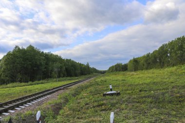 Tren. Yeşil orman ve çim parlak mavi gökyüzü ile arka plan üzerinde demiryolu parça. Tren ve insanlar olmadan boş raylar.