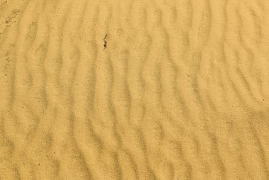 Kum kariyerindeki kum dokusu farklı izler taşıyor.