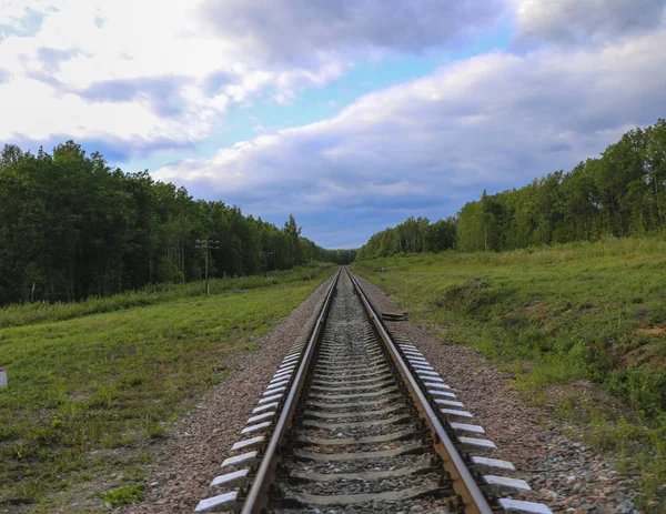 Ferroviária Trilhas Ferroviárias Fundo Floresta Verde Grama Com Céu Azul — Fotografia de Stock