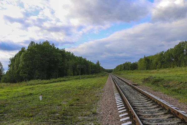 Linia Kolejowa Tory Kolejowe Tle Zielonego Lasu Trawy Błękitnym Niebem — Zdjęcie stockowe
