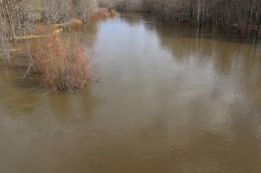 bahar yüksek su. ormandaki dökülüp nehir bahar. t bahar ormanda sel.