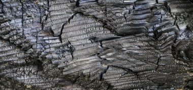 doku bir yangından sonra siyah kömür.