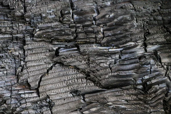 Texture of black coal after  fire. — Stock Photo, Image