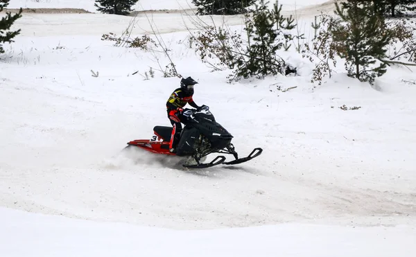 Volzhsk Ρωσία Φεβρουάριος 2019 Πρωτάθλημα Της Ρωσίας Στο Cross Country — Φωτογραφία Αρχείου