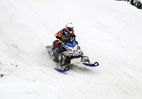 Волжск Россия Февраля 2019 Года Чемпионат России Лыжным Гонкам Снегоходах — стоковое фото