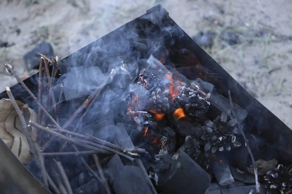 燃烧的烤架 在火盆上 热煤躺在烤架上 灌木和松果都在燃烧和燃烧 — 图库照片