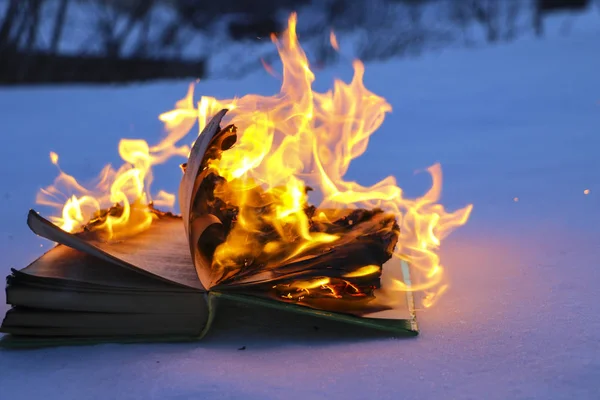 Livro em chamas na neve. páginas com o texto em livro aberto queimar wi — Fotografia de Stock