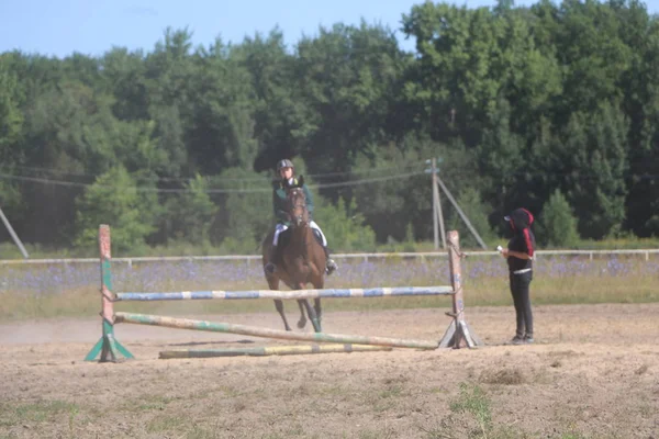 Yoshkar-Ola, RUSIA, 29 de julio de 2018: Carreras de caballos y saltos — Foto de Stock