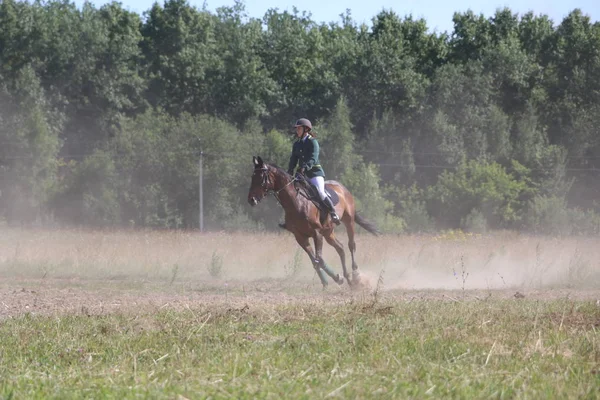 Yoshkar-Ola, RUSSIA, 29 luglio 2018: Corse di cavalli e salti — Foto Stock