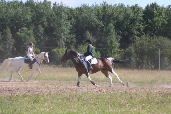 Yoshkar-Ola, RUSSIA, 29 de julho de 2018: Corrida de cavalos e salto — Fotografia de Stock