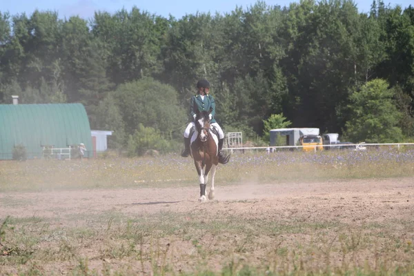 ヨシュカル ・ オラ ロシア、2018 年 7 月 29 日: 競馬とにジャンプ — ストック写真